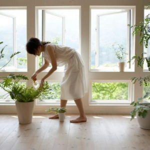 Tener plantas en casa aporta grandes beneficios para la salud